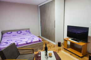 Apartman “Reka Gradac”